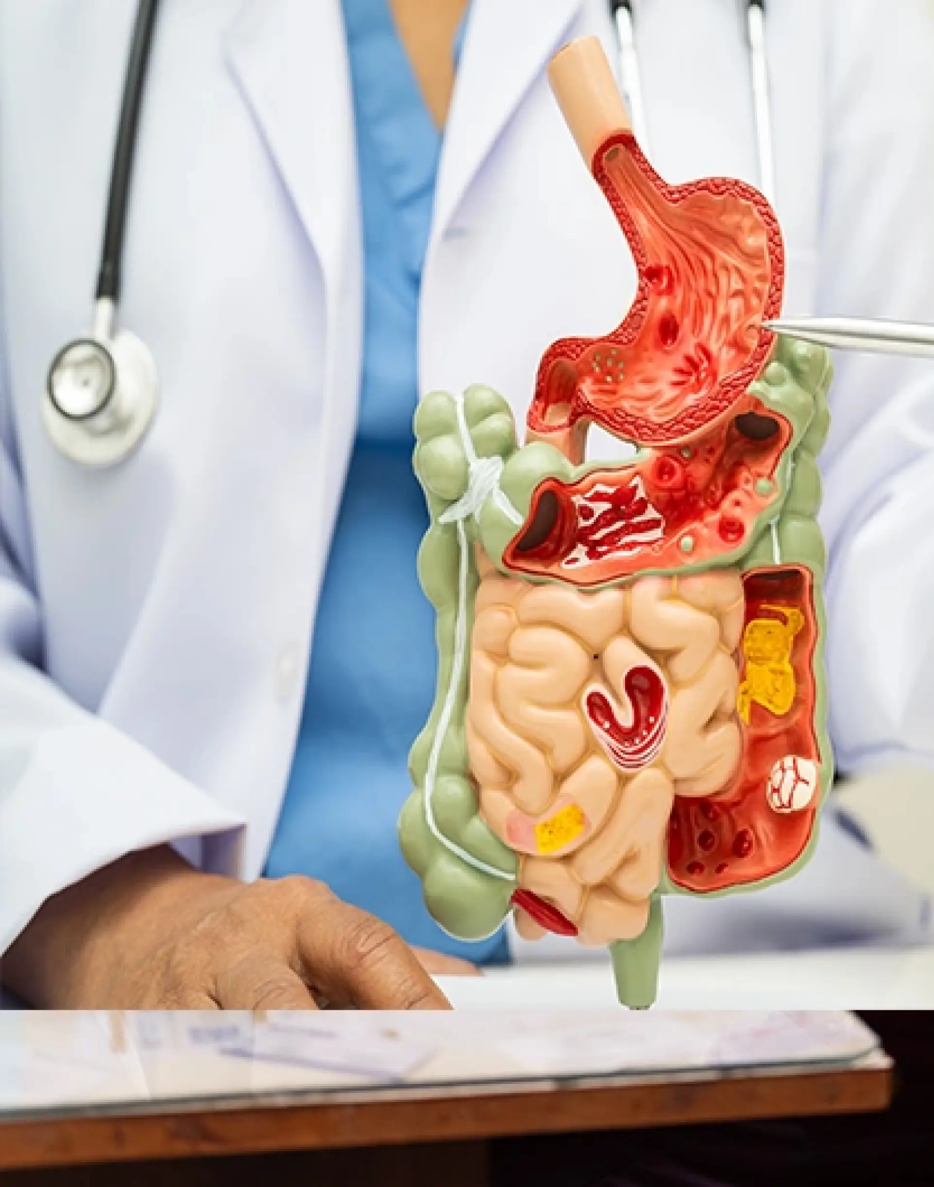 Cardiology