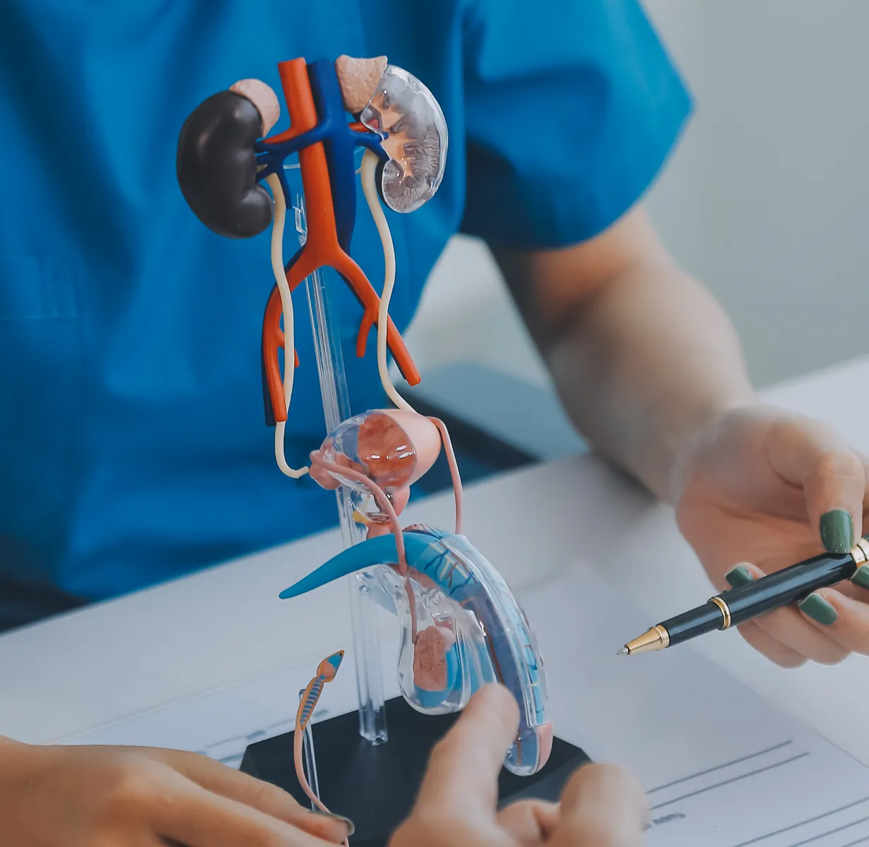 Urology